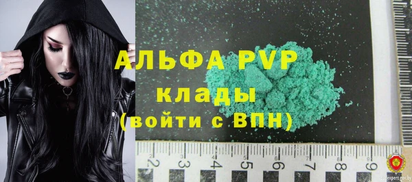 шишки Переславль-Залесский