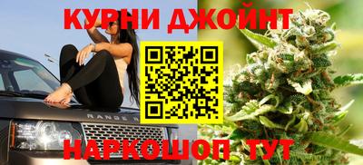 амф Гусев