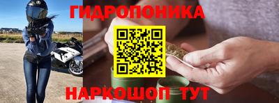 амф Гусев