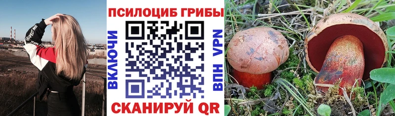 Галлюциногенные грибы GOLDEN TEACHER Раменское