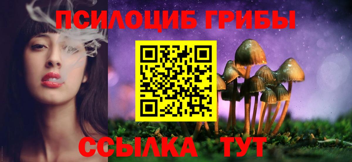 Галлюциногенные грибы Psilocybe Раменское